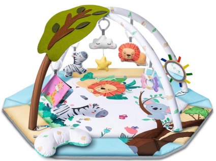Baby Play Gym/Mat