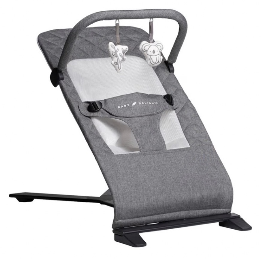 Baby Delight Portable Bouncer